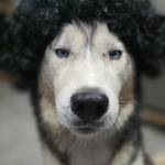 Heini Dafi Kharbyngar