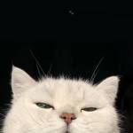 Philasiewdor Kharumnuid