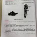 Soraisam Chingkheinganba Meitei