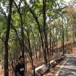 ADTU/L/2019-23/BCE/110