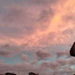 ADTU/2021-23/MFN/020