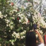 ADTU/2021-24/BPY/039