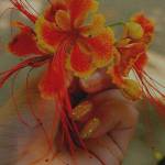 ADTU/2021-23/MFN/028