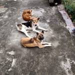 ADTU/2020-22/DPT/016