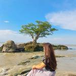 ADTU/2020-24/BOP/029