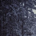 ADTU/2020-24/BPT/021