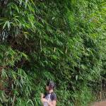 Shijagurumayum Parish