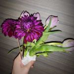 ADTU/2020-23/DIPLOMA/002