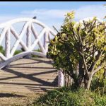 Sweet Carolyne Basan 