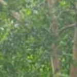 ADTU/2021-24/DIPLOMA/034