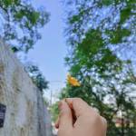 ADTU/2021-23/DRT/007