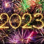 ADTU/2021-24/BBA(IB)/028