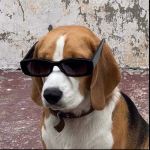 ADTU/2020-23/BCA/054