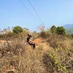 ADTU/2021-24/BAT/084