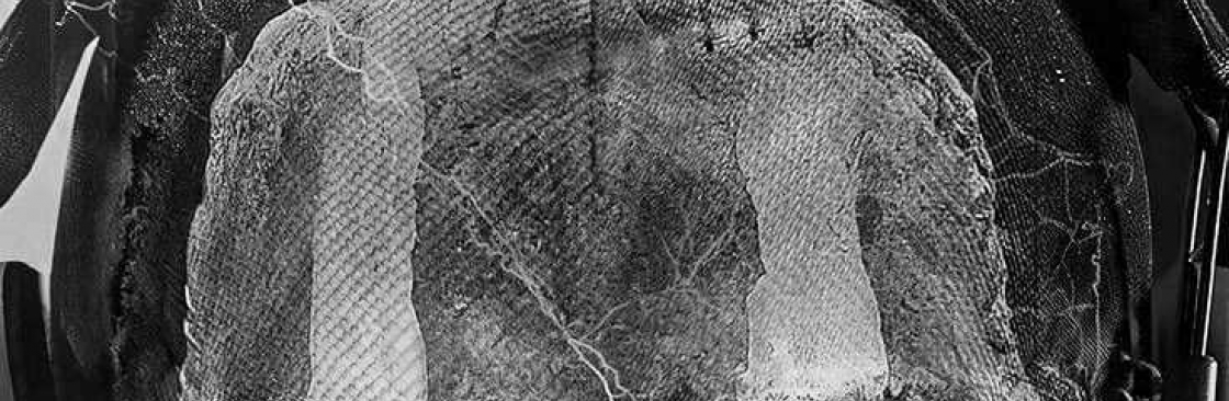 ADTU/2021-24/BCA/015