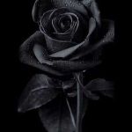 ADTU/L/2020-23/BML/125