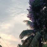 Sungjemmongla Walling