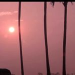 ADTU/2021-24/BAT/174