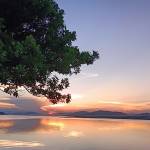 ADTU/2021-24/BML/082