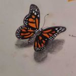 ADTU/2021-24/BML/171