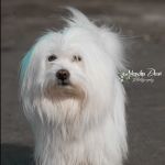 ADTU/1/2023-25/DRIT/083