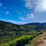 ADTU/2021-24/GNM/031