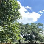 ADTU/2021-25/BPT/039