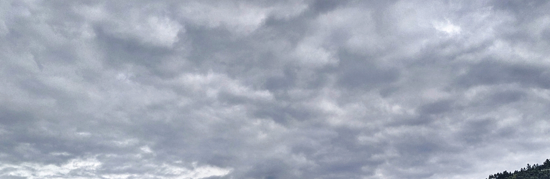 Pradyumna Kumar Nath