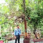 Debraj Nath