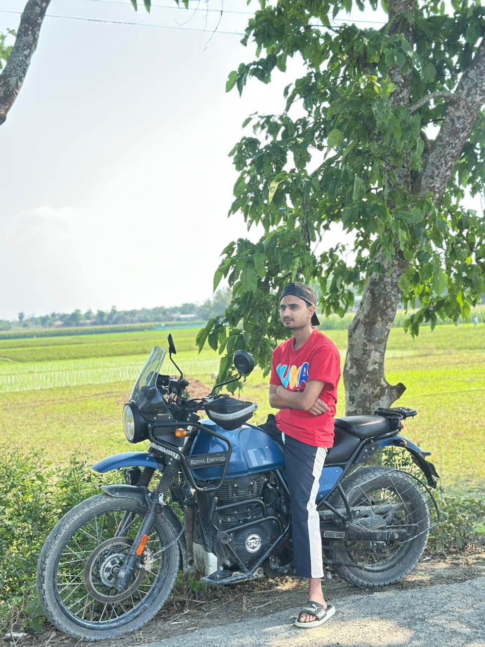 User Image